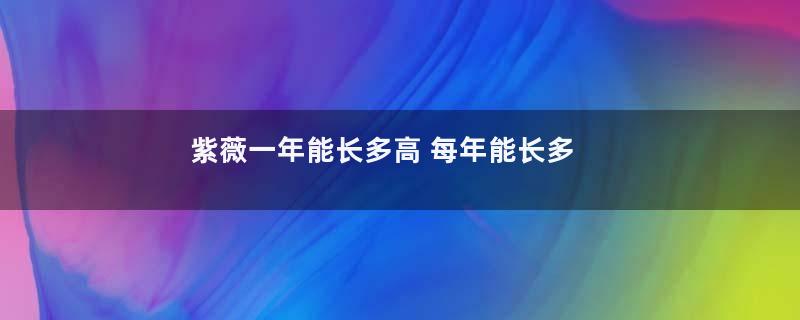 紫薇一年能长多高 每年能长多少公分